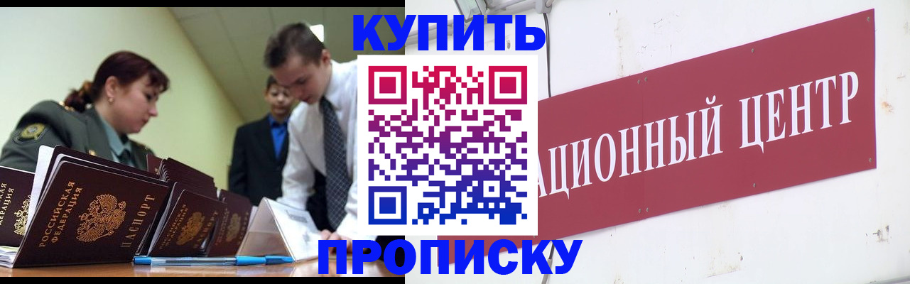 прописка поиск в Ермолино